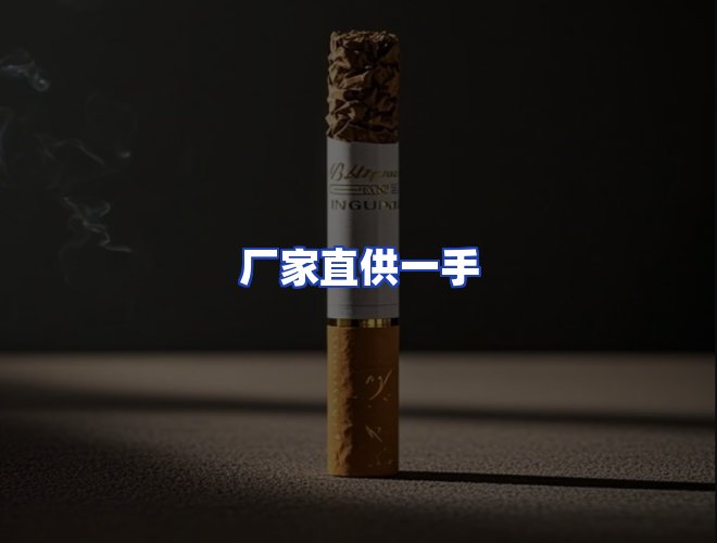 专业团队